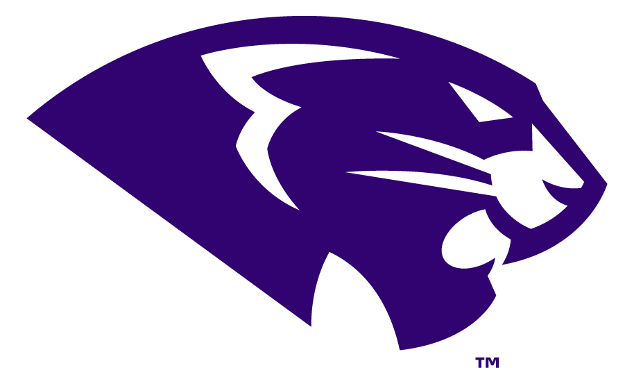 High Point Panthers 2017-Pres Secondary Logo v2 diy DTF decal sticker